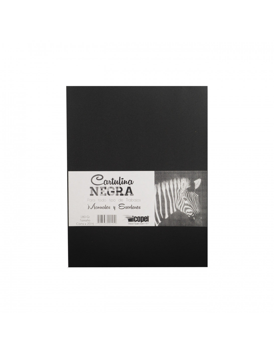 Cartulina Negra carta x20