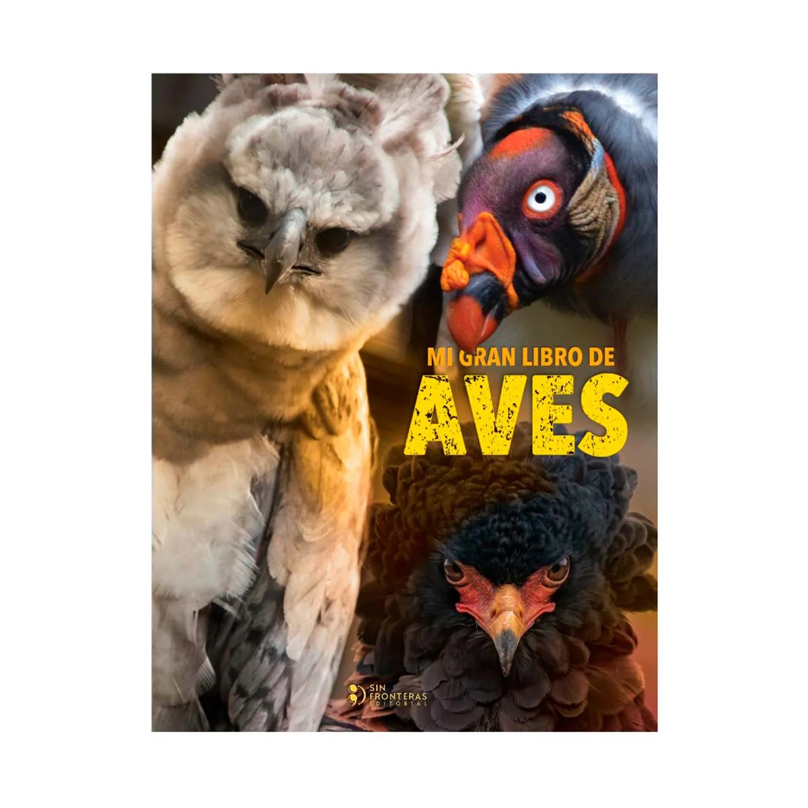 Mi Gran Libro Animales De Aves