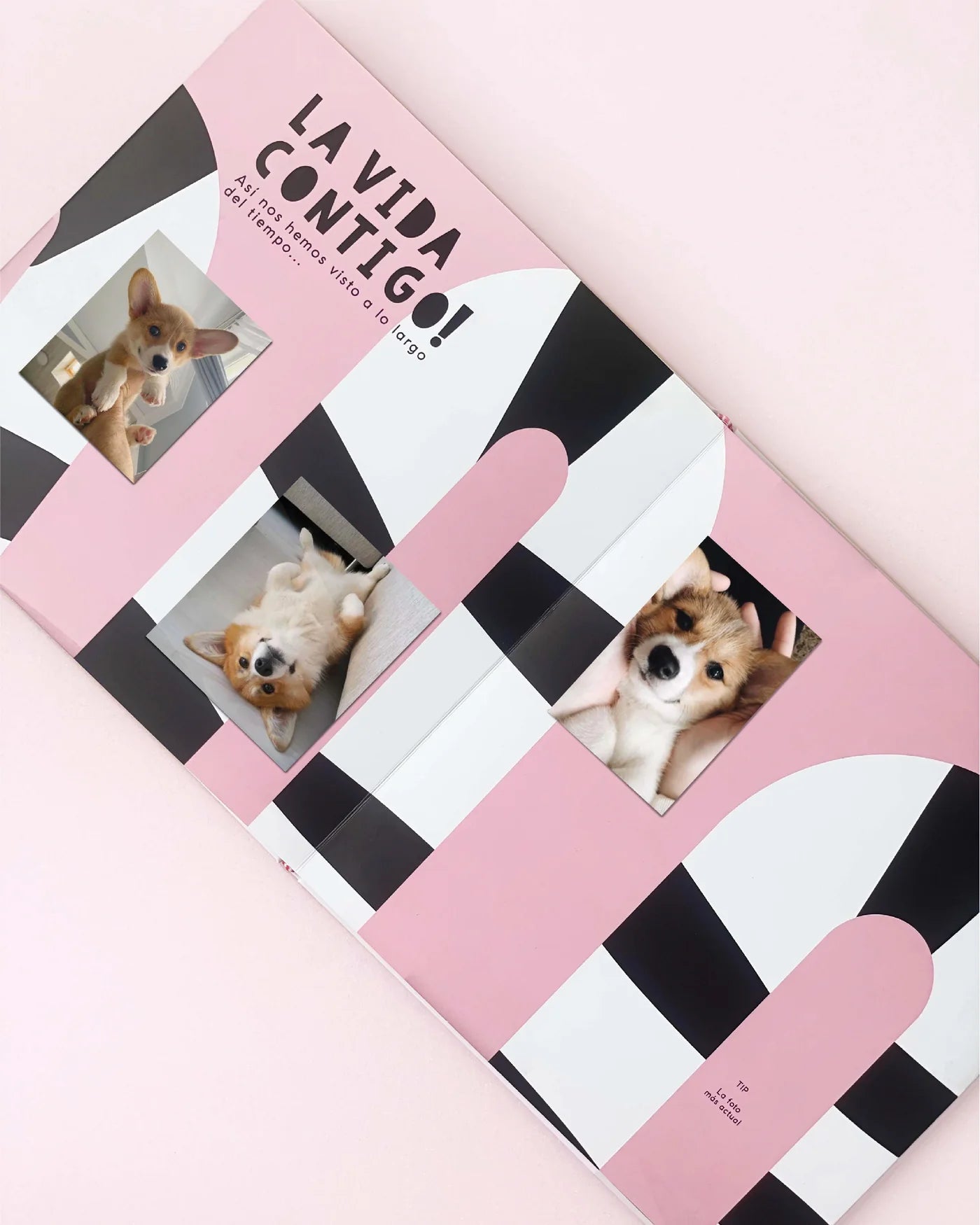 Interior Álbum de fotos Toy Ask Me About My Pet cuadrado de 25x25 cm con páginas para recuerdos de perros, gatos y mascotas.