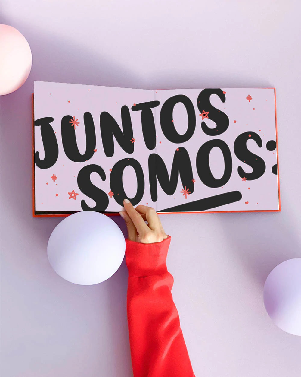 Álbum De Fotos Nuestro Libro Favorito | Toy