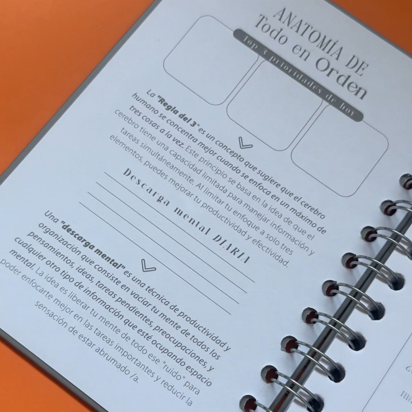 Interior Agenda Todo en Orden con secciones de organización, frases motivadoras y Rincón Mágico para productividad consciente.
