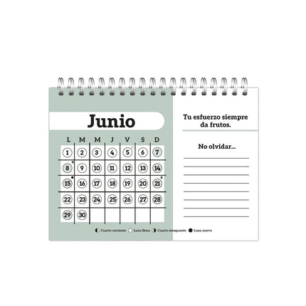 Calendario De Mesa 2026 | Pinzell