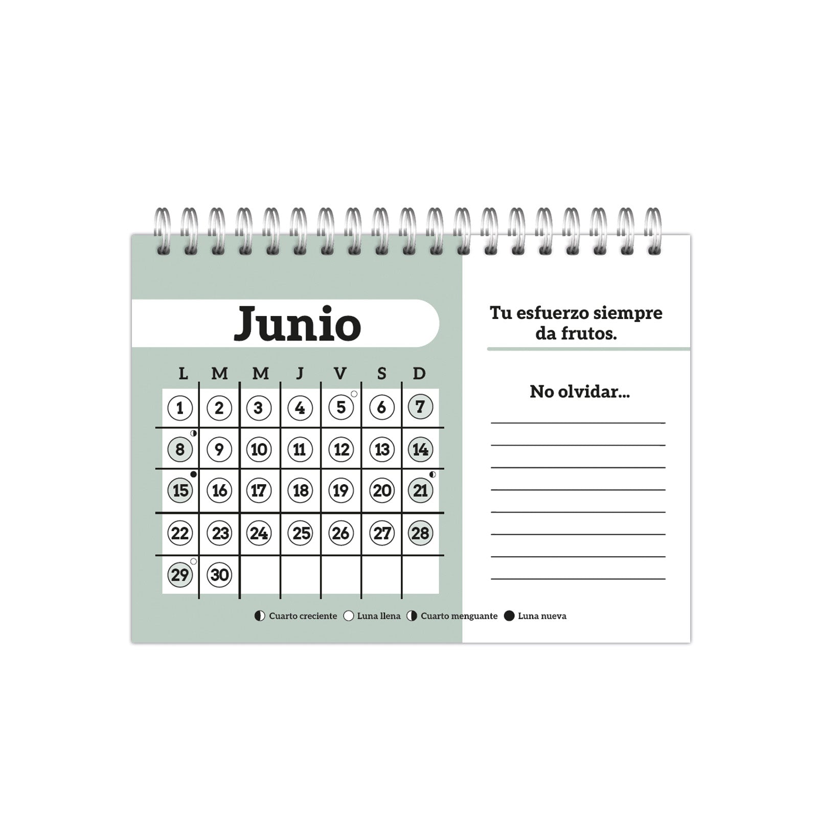 Calendario De Mesa 2026 | Pinzell