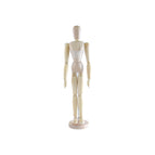 Masculino / 40.5 cm