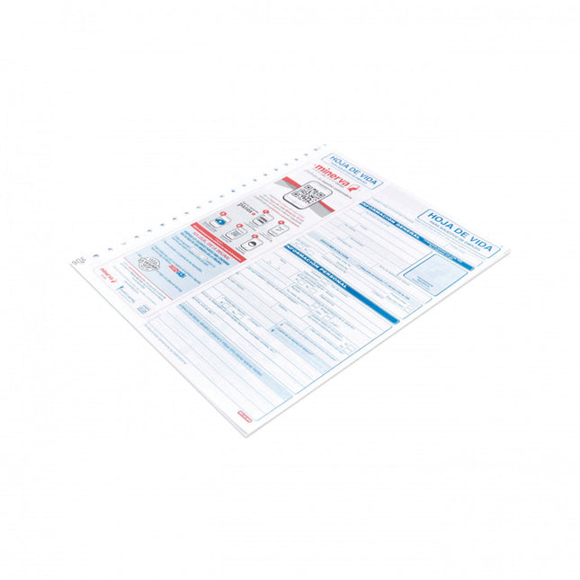 Hoja de Vida Personal Calificado Minerva