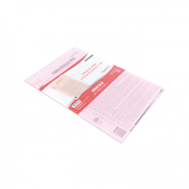 Contrato de Trabajo Inferior a un año Minerva