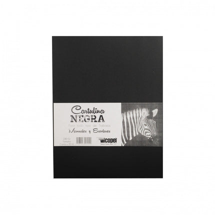 Cartulina Negra | Icopel