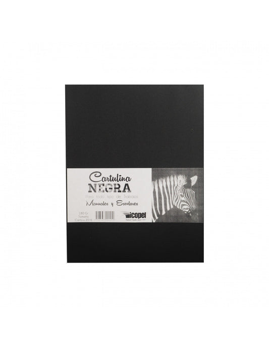 Cartulina Negra carta x20