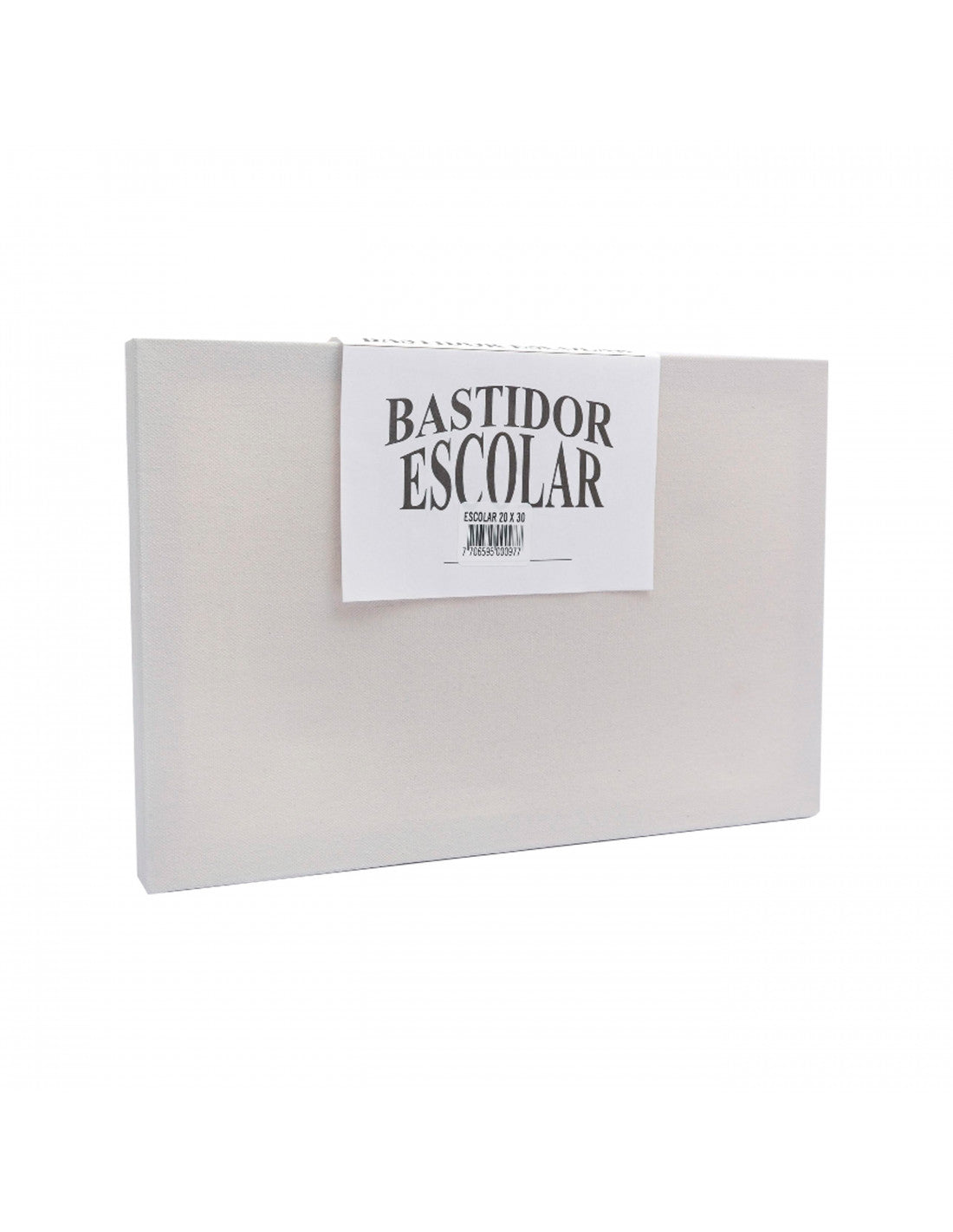 Lienzo escolar 20 x 30 cm en bastidor MDF listo para pintar

