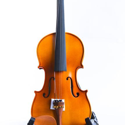 Violín Tamaño 4/4 HV2101 Vieco