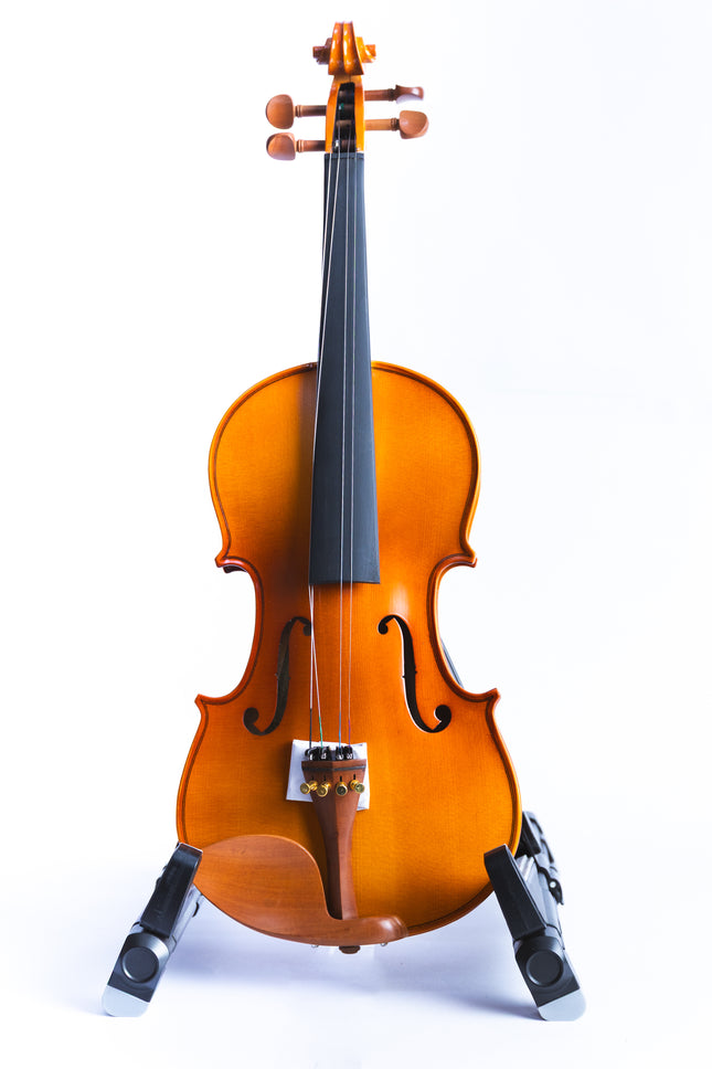Violín Tamaño 4/4 HV2101 Vieco