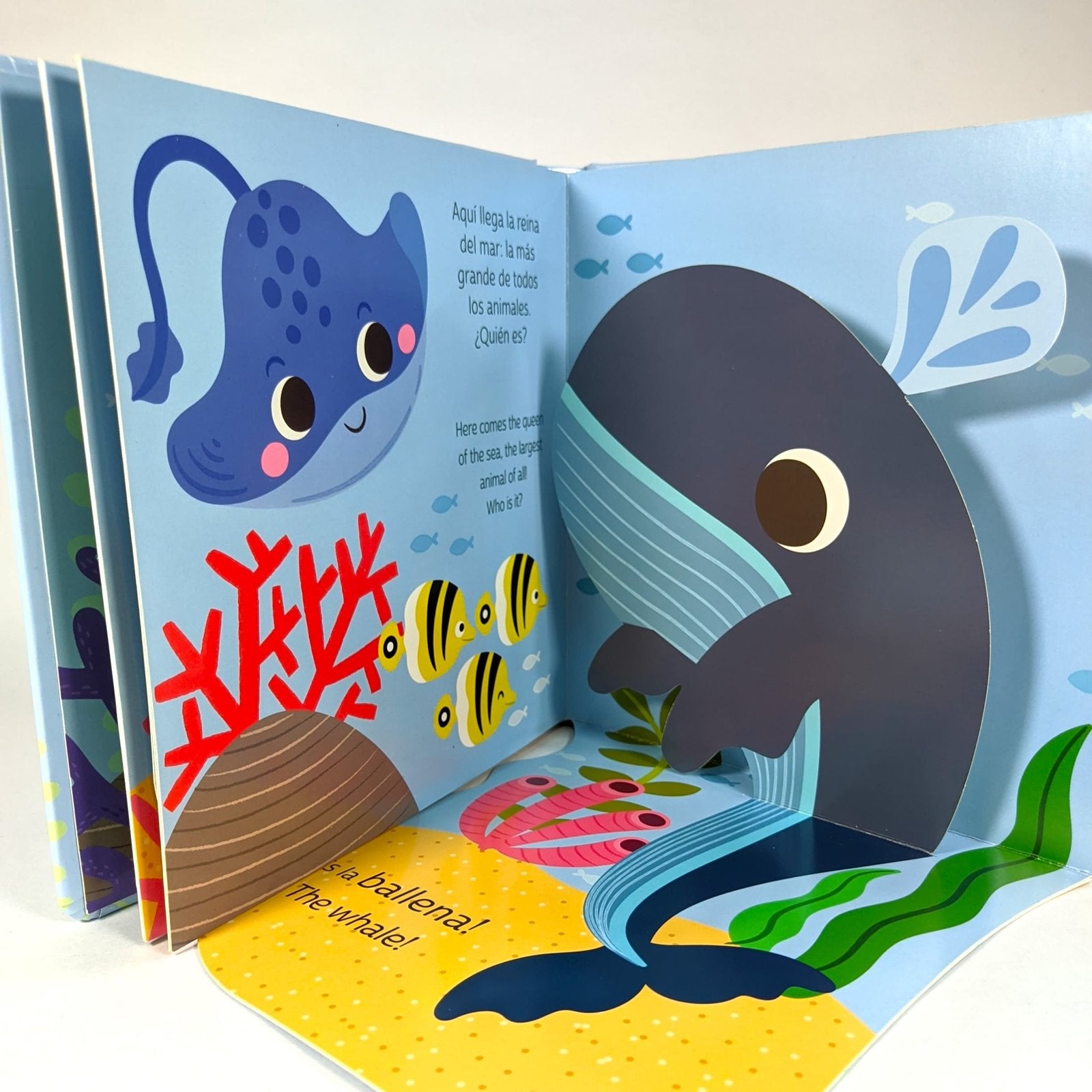 Coleccion Flaps Con Pop-Up: El Mar