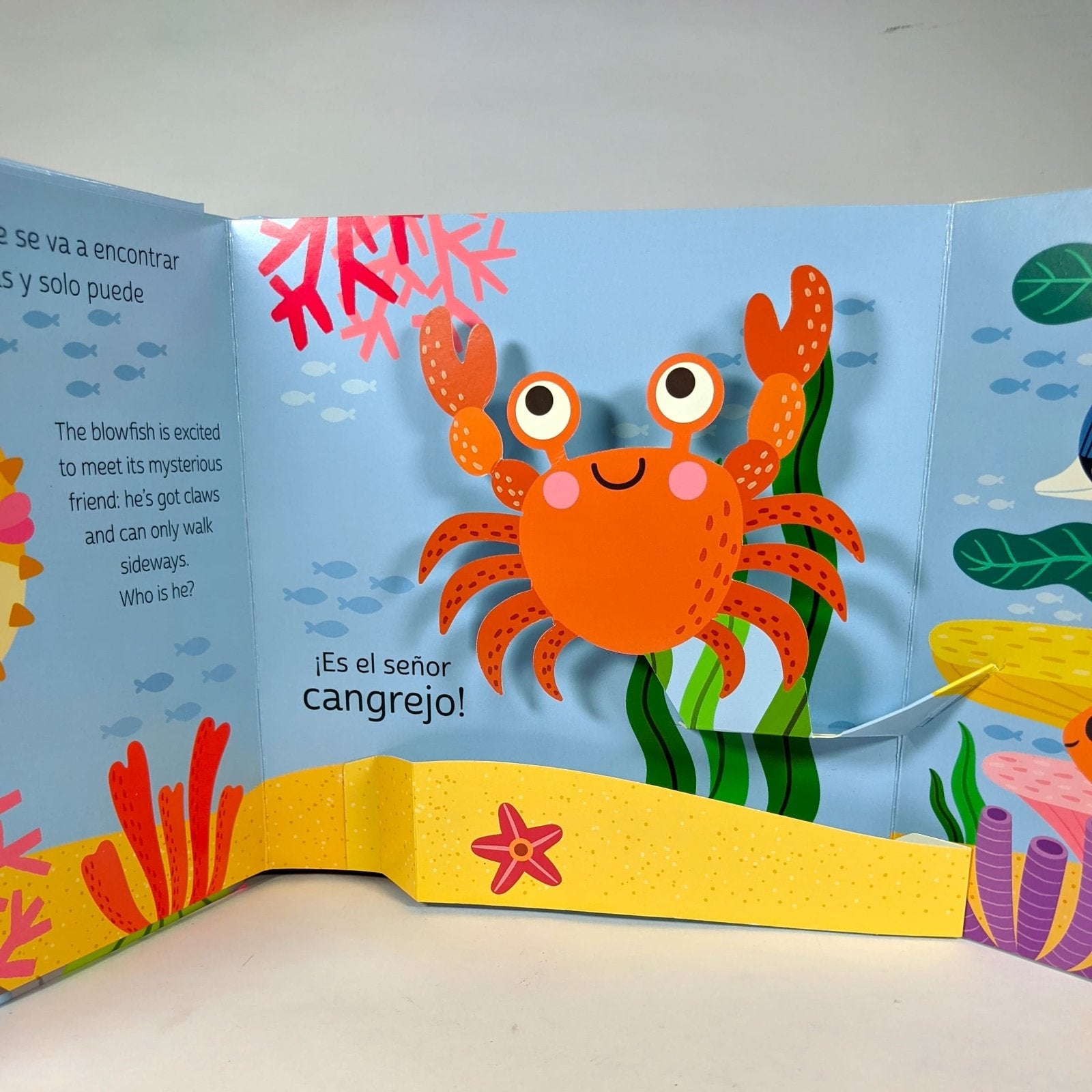 Coleccion Flaps Con Pop-Up: El Mar