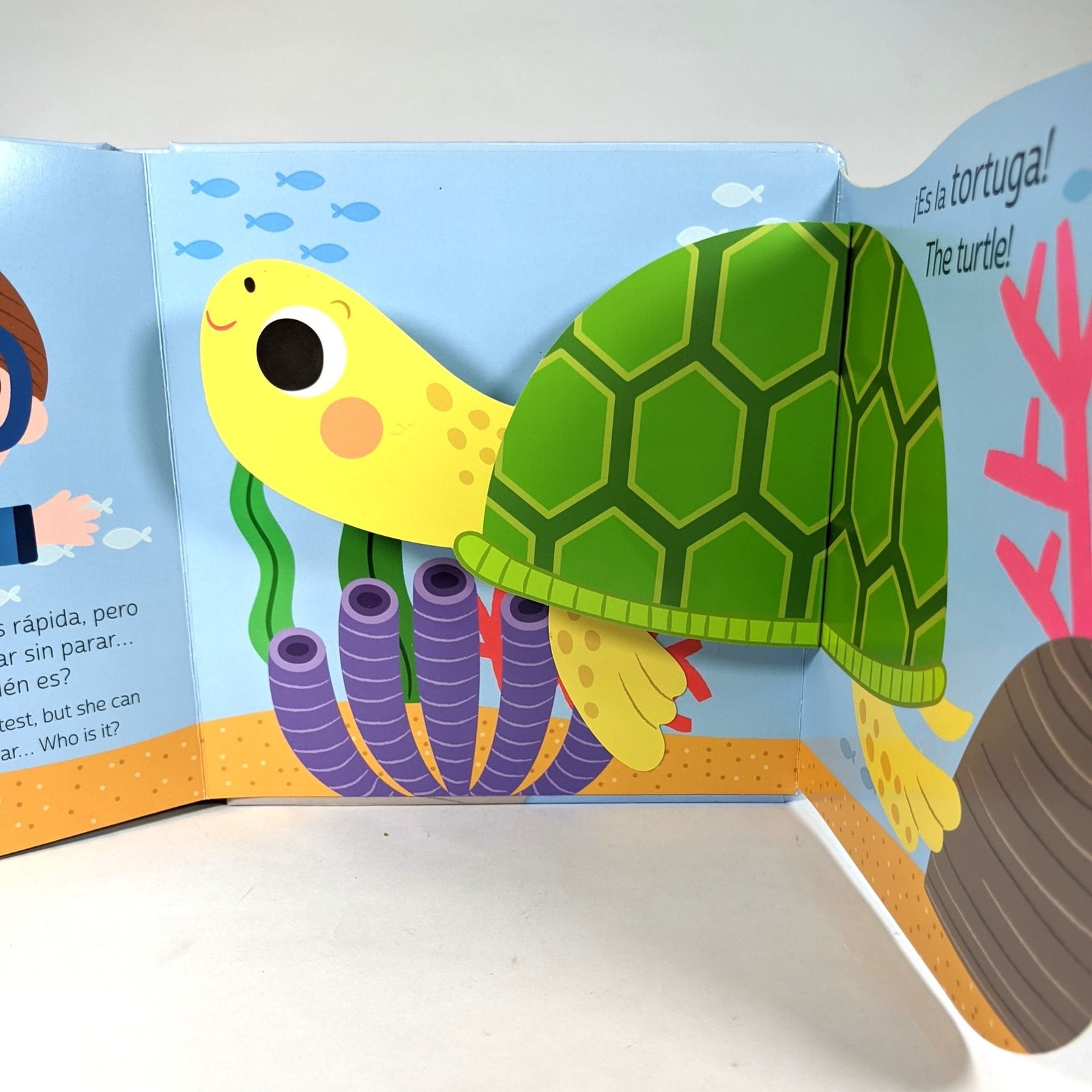 Coleccion Flaps Con Pop-Up: El Mar