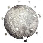 Rompecabezas Circular En Madera La Luna Ingenio Destreza