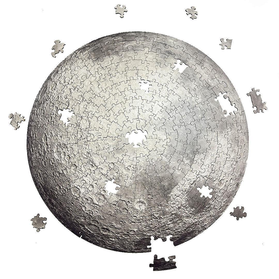 Rompecabezas Circular En Madera La Luna Ingenio Destreza
