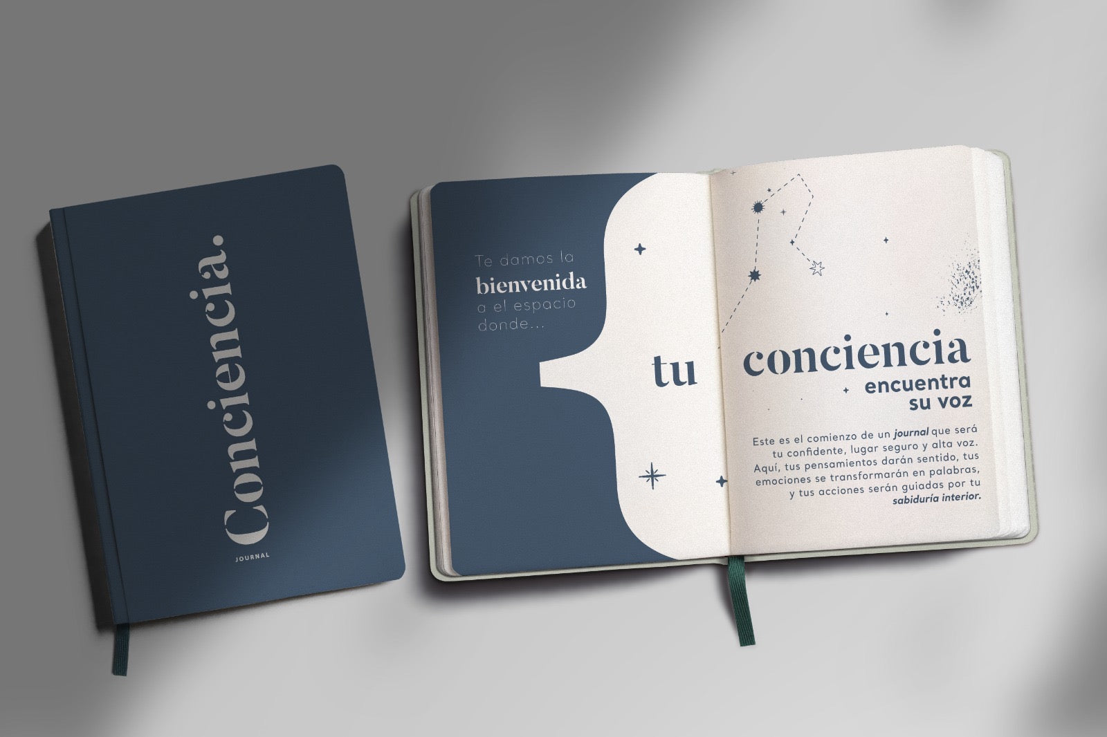 Journal Conciencia | La Magia De Empezar De Cero