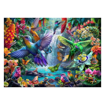 Rompecabezas 1000 Piezas Tropical Hummingbirds Ingenio Destreza - armado